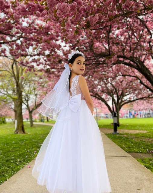 Valentina Cherry Blossoms