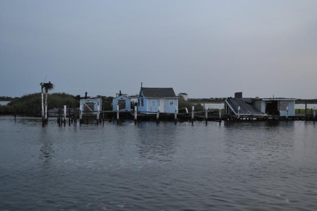 DSC 0019